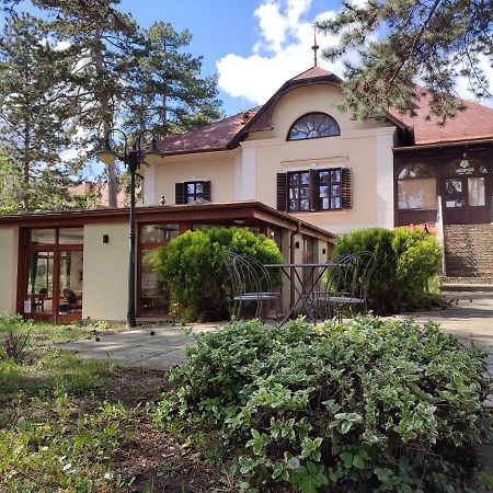 Imola Garden Vendeghaz Hotel Balatonfured Ngoại thất bức ảnh